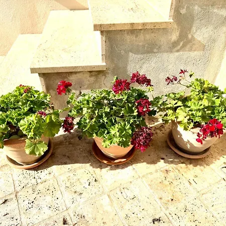 Vila Jasmine Luxury House With Private Pool, Spacious Terraces And Spectacular Sea Views Vis